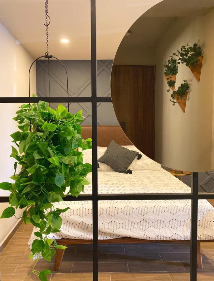 Layoo, Tu Casa En Oaxaca 101 Apartment Екстериор снимка